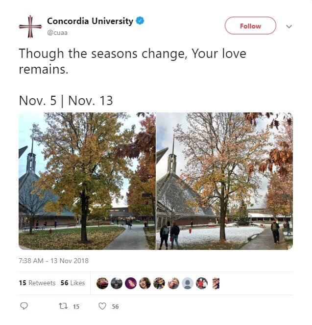 Seasons change on the Concordia University Ann Arbor campus.