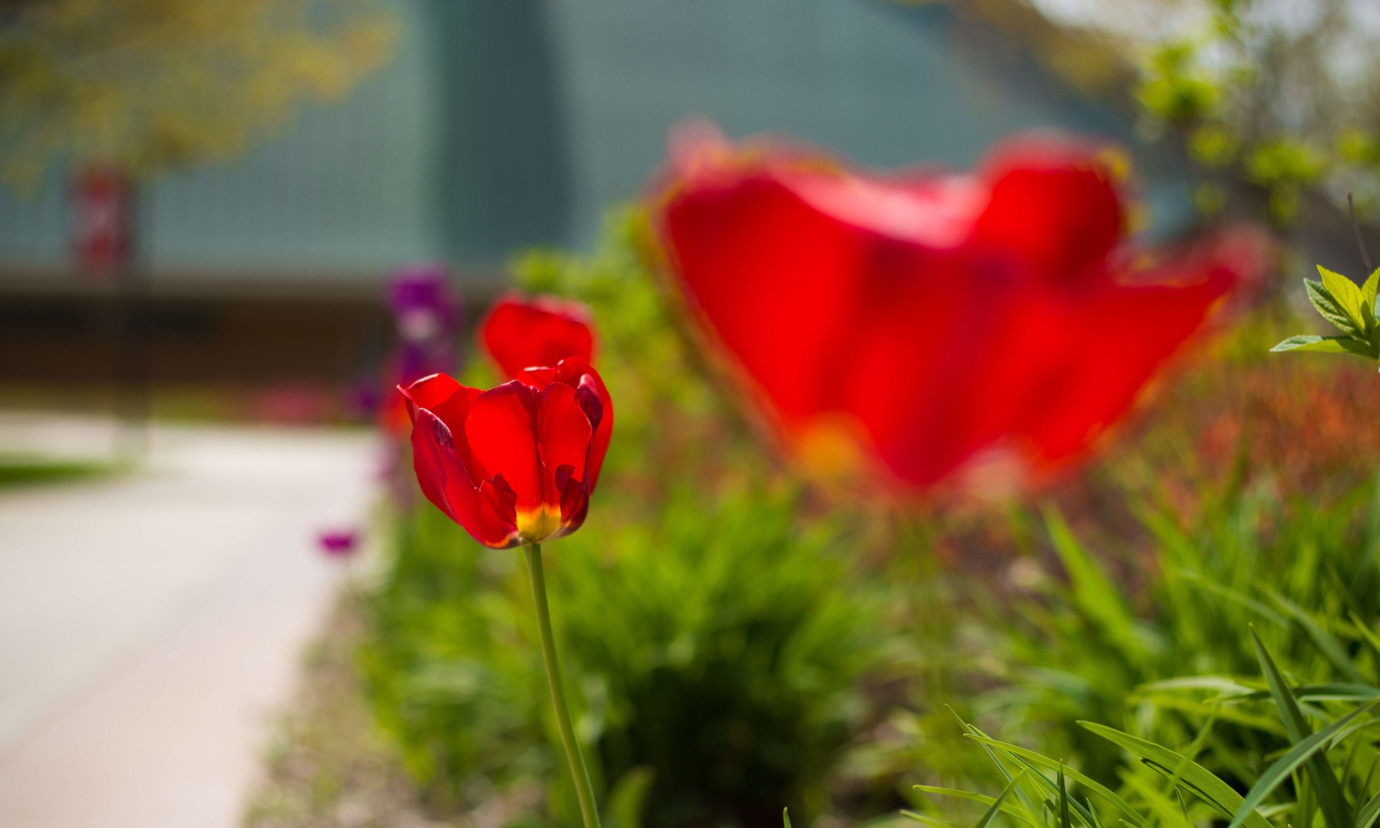 campus scenery