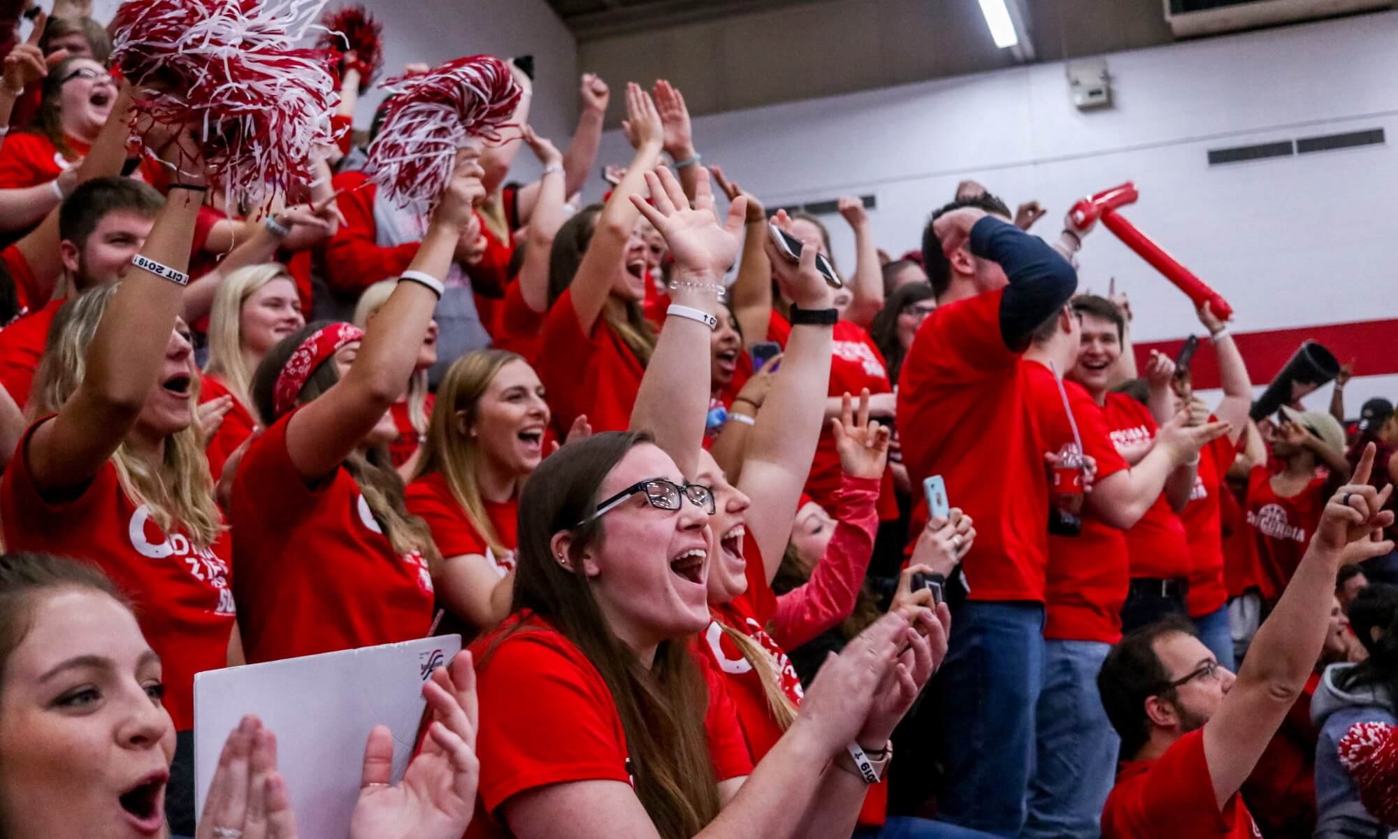 Cardinal fans