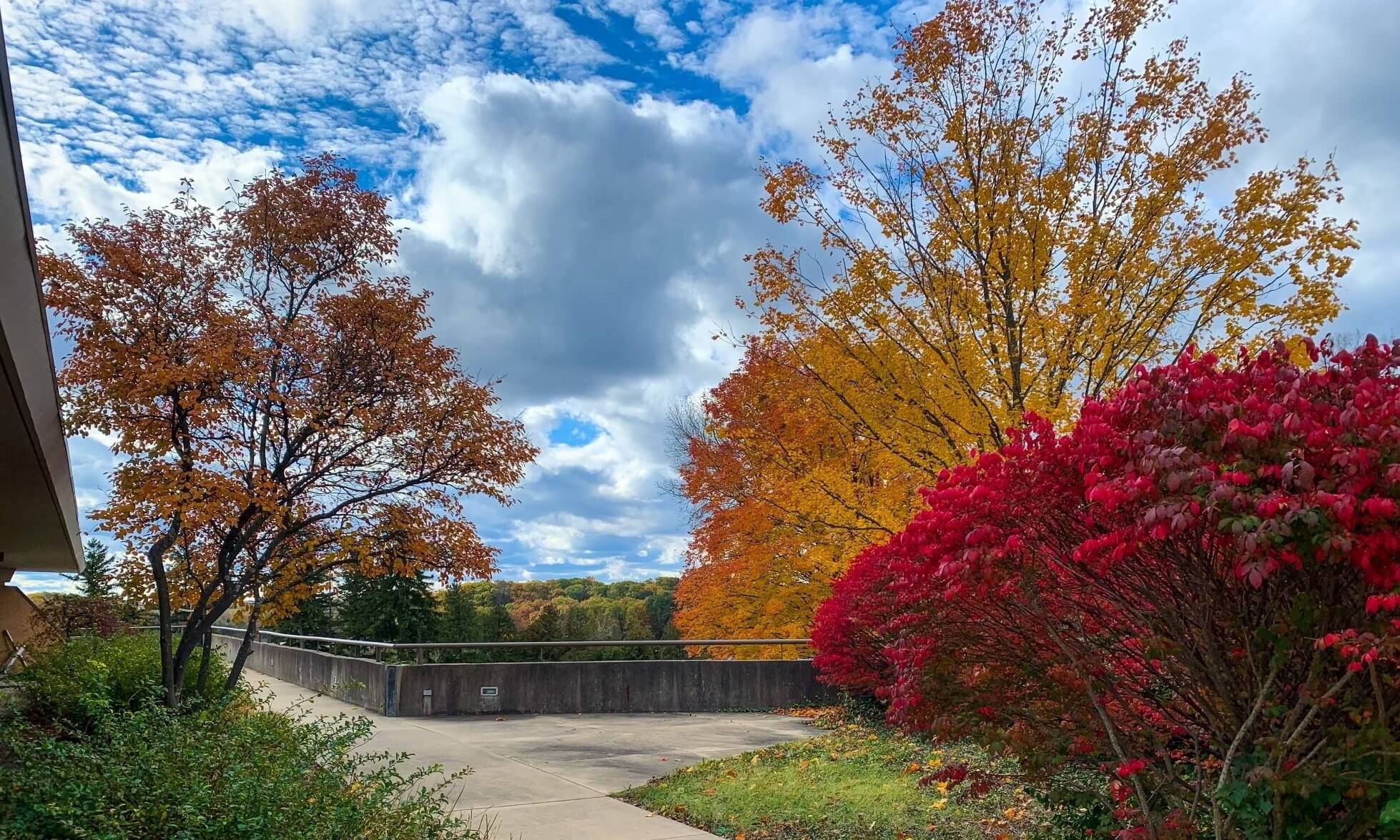 Fall on CUAA's campus