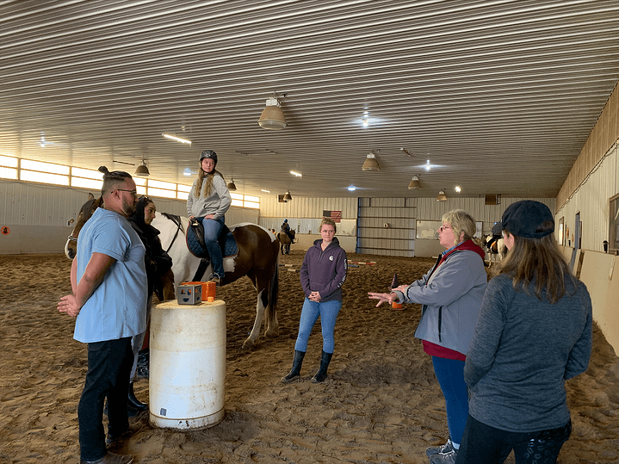 OT horse therapy