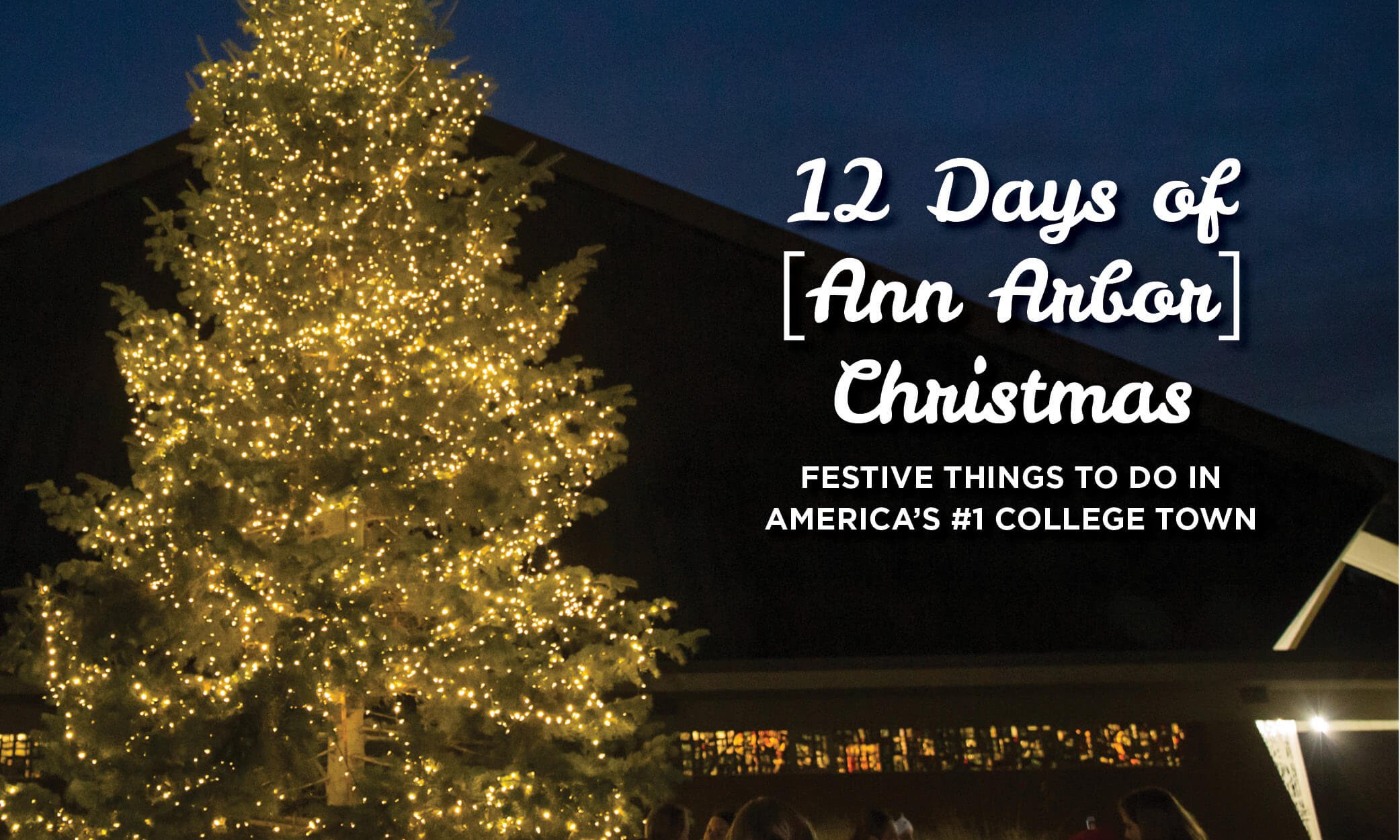 12 days of Christmas Ann Arbor Edition